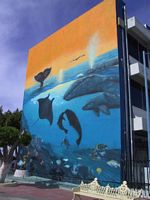 street art La Paz Mexico